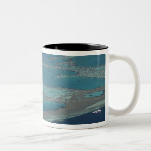 Taza Bicolor Plataformas de buceo cerca del arrecife, Gran Barr