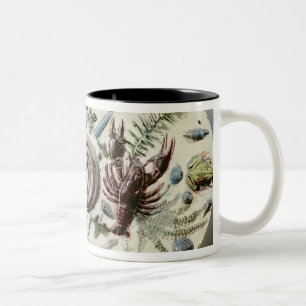 Taza Bicolor Plato de Rustique Figuline con un fondo blanco