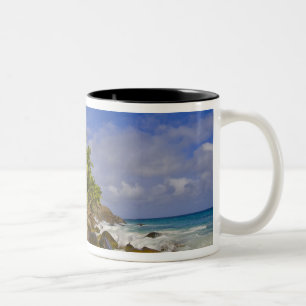 Taza Bicolor Playa Anse Victorin 4