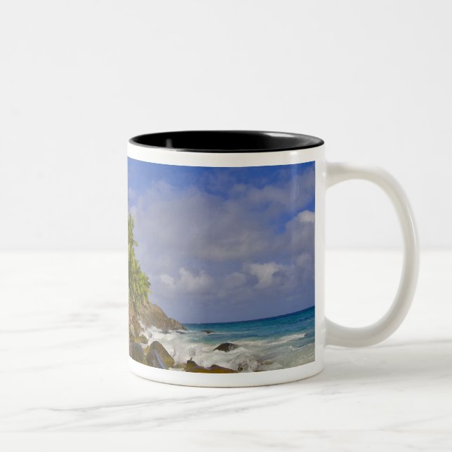 Taza Bicolor Playa Anse Victorin 4 (Derecha)