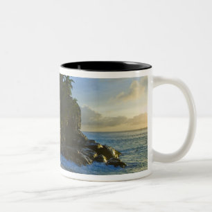Taza Bicolor Playa Ansi Victorin 2
