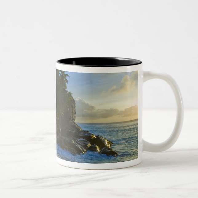 Taza Bicolor Playa Ansi Victorin 2 (Derecha)