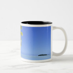 Taza Bicolor Playa bordeada de palmeras Islas Cook 3