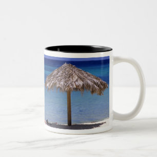 Taza Bicolor Playa Malmok, Aruba, Antillas Neerlandesas
