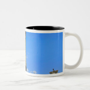 Taza Bicolor Plaza del casco antiguo rodeada de casas del siglo