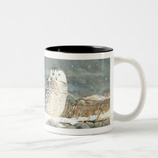 Taza Bicolor Plazo Nevado