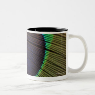 Taza Bicolor Pluma del pavo real