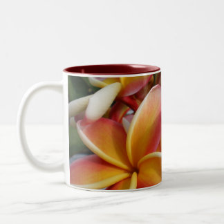 Taza Bicolor plumeria