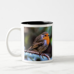 Taza Bicolor Plump Robin Colgado En Una Rama De Arte De Vida Si