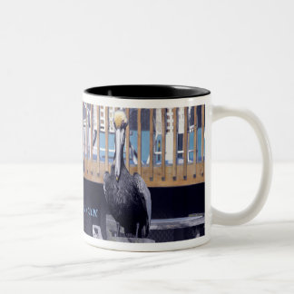 Taza Bicolor Poder Pelícano
