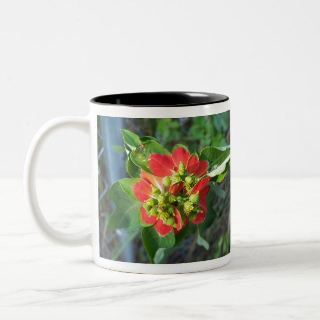Taza Bicolor Poinsettia silvestre (Izquierda)