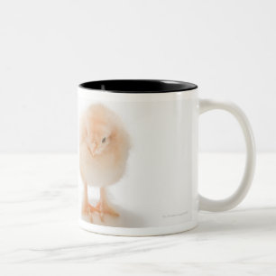 Taza Bicolor Pollo del bebé y pollo mecánico falso