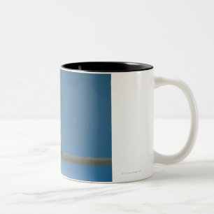 Taza Bicolor Pollo solitario del mascota del bebé que se sienta