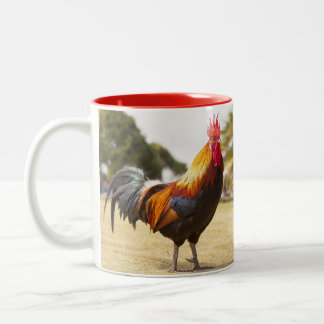 Taza Bicolor Pollos de vida de granja de gallos