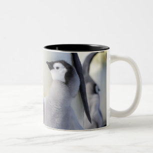 Taza Bicolor Polluelo del pingüino de emperador