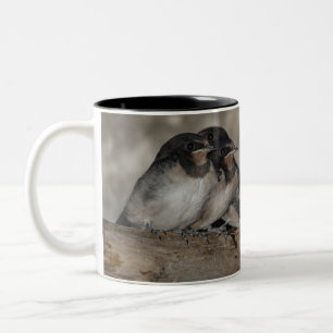 Taza Bicolor Polluelos de golondrina en una rama