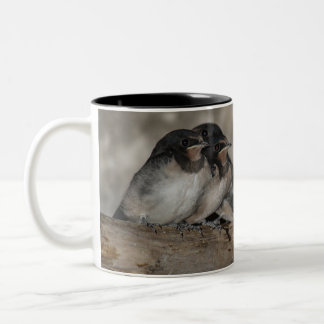 Taza Bicolor Polluelos de golondrina en una rama