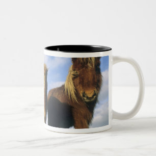 Taza Bicolor Poni de Shetland, tierra firme Islas Shetland,