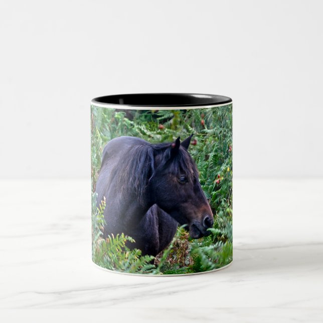 Taza Bicolor Pony de Hampshire, Inglaterra (Centro)