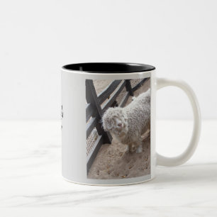 Taza Bicolor Por completo de lanas