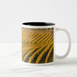 Taza Bicolor Posada de nogal negro con aspecto toscano sobre