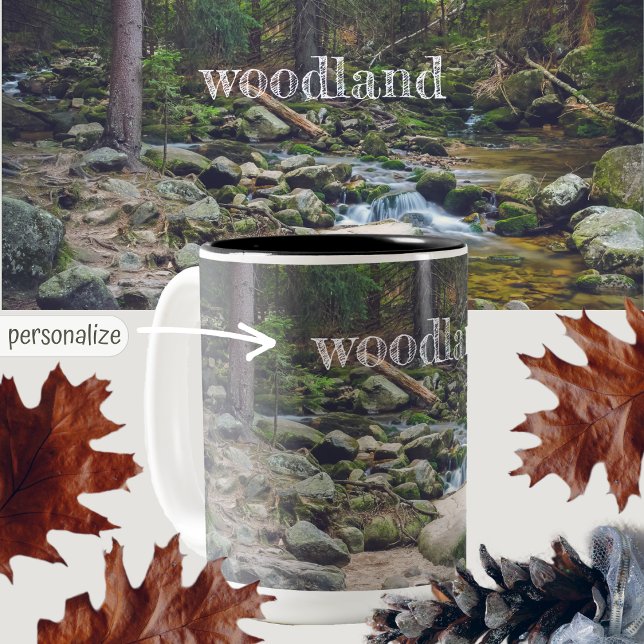 Taza Bicolor Poster de cascada forestal (Subido por el creador)