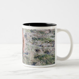Taza Bicolor Potro lindo que pasta en el prado