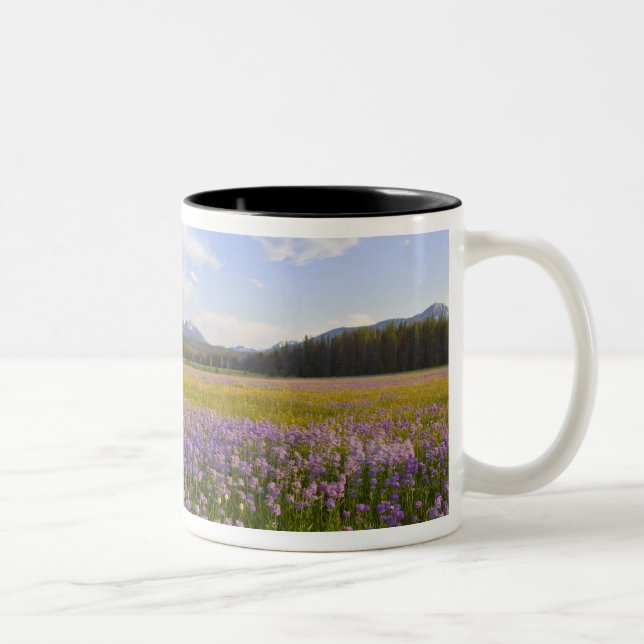 Taza Bicolor Prado de flores silvestres de pénstemon en 2 (Derecha)
