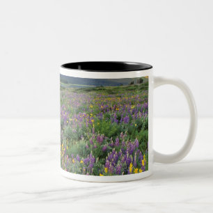 Taza Bicolor Prado de flores silvestres en Many glacier