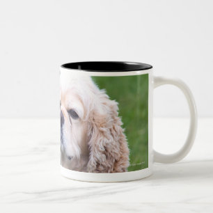 Taza Bicolor Presentación linda joven del perro