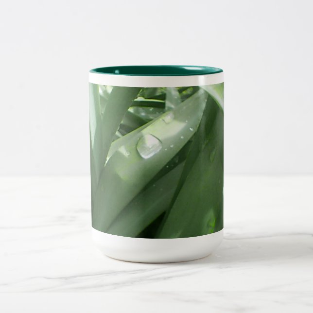 Taza Bicolor Primavera lluviosa (Centro)