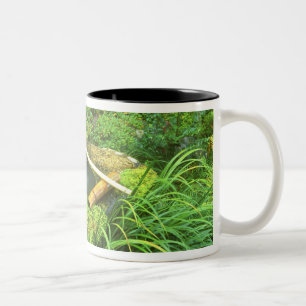 Taza Bicolor Primavera para ceremonia del té, templo Sanzen-in,