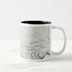 Taza Bicolor Primavera temprana en el antártico
