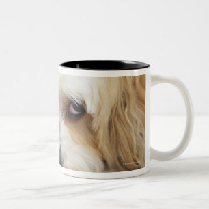 Taza Bicolor primer chistoso del perro del frise del bichon