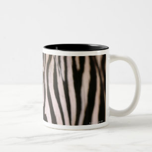 Taza Bicolor Primer de la cabeza de la cebra