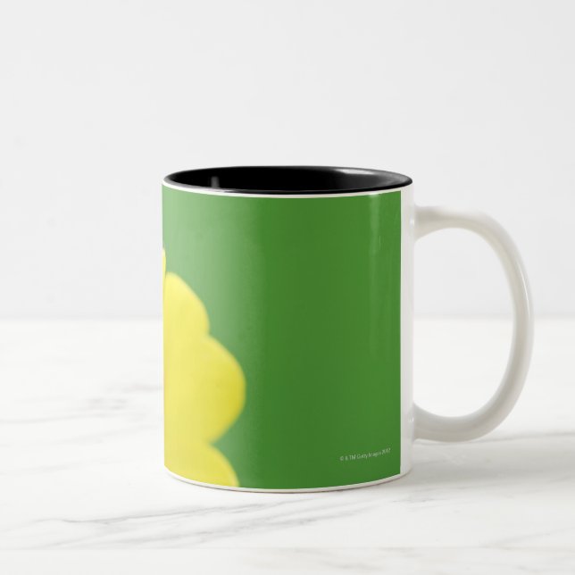 Taza Bicolor Primer de la mariquita (Derecha)