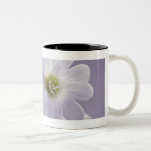 Taza Bicolor Primer de las flores 2