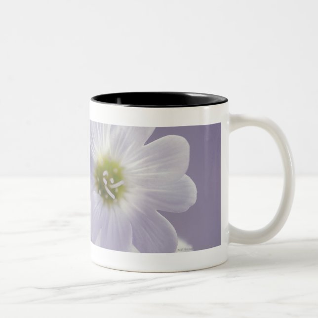Taza Bicolor Primer de las flores 2 (Derecha)