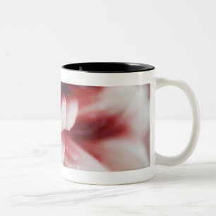 Taza Bicolor Primer de los descensos del agua en una flor