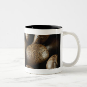 Taza Bicolor Primer de los granos de café