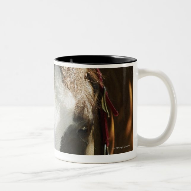 Taza Bicolor Primer de un caballo (Derecha)