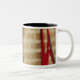 Taza Bicolor Primer de un caballo 3
