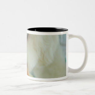 Taza Bicolor Primer de un caniche miniatura que come la comida