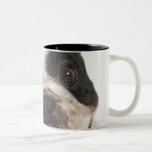 Taza Bicolor Primer de una Boston Terrier