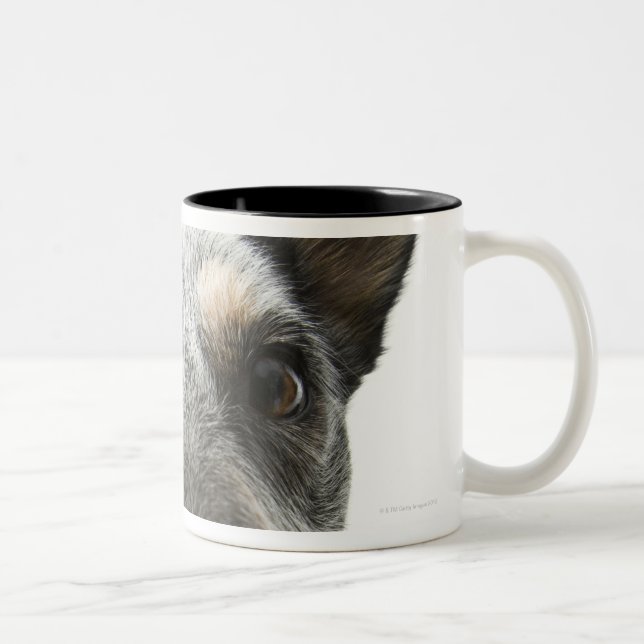Taza Bicolor Primer de una cabeza de perro (Derecha)