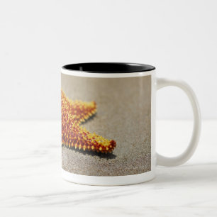 Taza Bicolor Primer de una estrella de mar del amortiguador