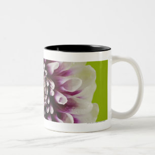 Taza Bicolor Primer de una flor 2