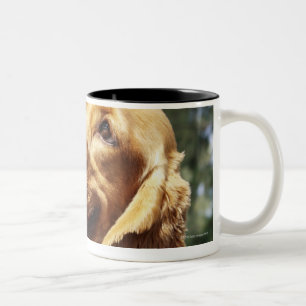 Taza Bicolor Primer de una manzana delante de un perro