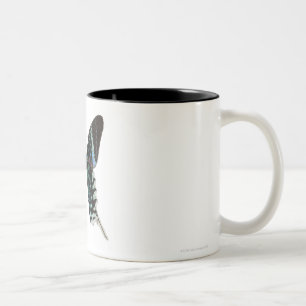 Taza Bicolor Primer de una mariposa