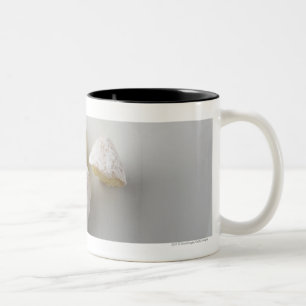 Taza Bicolor Primer de una torta